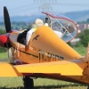 Fliegerfest Kornwestheim Pattonville 2014