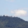 1dfh-ouv-sommertreffen4082012-135
