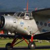 1dfh-ouv-sommertreffen4082012-242