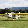 1dfh-ouv-sommertreffen4082012-019