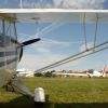 1dfh-ouv-sommertreffen4082012-026
