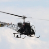 1dfh-ouv-sommertreffen4082012-105