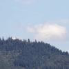 1dfh-ouv-sommertreffen4082012-135