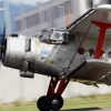 1dfh-ouv-sommertreffen4082012-138