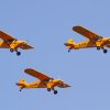1dfh-ff-bietigh-19082012-014