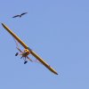 1dfh-ff-bietigh-19082012-019