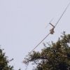 1dfh-ff-bietigh-19082012-002