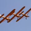 1dfh-ff-bietigh-19082012-009