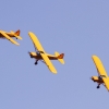 1dfh-ff-bietigh-19082012-013
