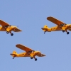 1dfh-ff-bietigh-19082012-014