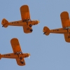 1dfh-ff-bietigh-19082012-015