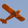 1dfh-ff-bietigh-19082012-017