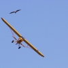 1dfh-ff-bietigh-19082012-019