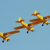 1dfh-ff-bietigh-19082012-064