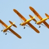 1dfh-ff-bietigh-19082012-065