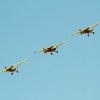 1dfh-ff-bietigh-19082012-066