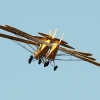 1dfh-ff-bietigh-19082012-067