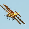 1dfh-ff-bietigh-19082012-068