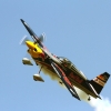1dfh-ff-bietigh-19082012-081
