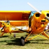 1dfh-ff-bietigh-19082012-107