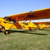 1dfh-ff-bietigh-19082012-108