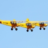 1dfh-ff-bietigh-19082012-112