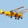 1dfh-ff-bietigh-19082012-114
