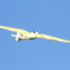 1dfh-ff-bietigh-19082012-124