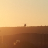 Flughafen Stuttgart