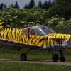 Flugplatzfest Bopfingen 27.06.2010