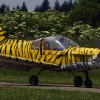 Flugplatzfest Bopfingen 27.06.2010