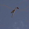 1dfh-degerfeld-290809-019