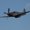 1dfh-degerfeld-290809-045
