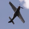 1dfh-degerfeld-290809-047
