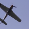 1dfh-degerfeld-290809-048