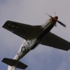 1dfh-degerfeld-290809-049