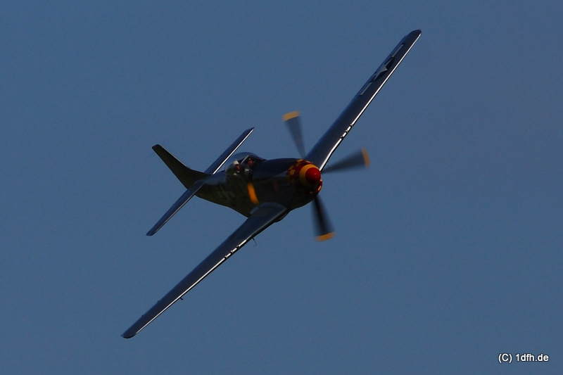 1dfh-degerfeld-280809-003