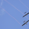 1dfh-degerfeld-290809-002