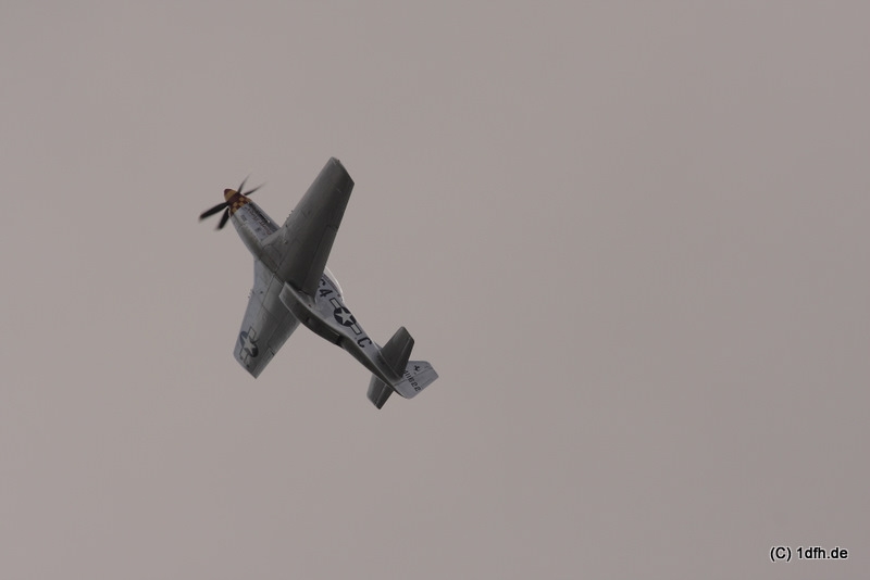 1dfh-degerfeld-290809-006