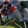 1dfh-degerfeld-290809-016