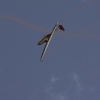 1dfh-degerfeld-290809-019