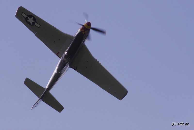 1dfh-degerfeld-290809-048