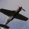 1dfh-degerfeld-290809-049