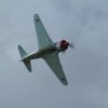 Degerfeld 2011