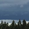 Degerfeld 2011