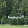 Degerfeld 2011