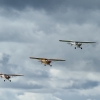 Degerfeld 2011