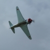 Degerfeld 2011