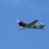 Degerfeld 2011