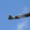 Degerfeld 2011